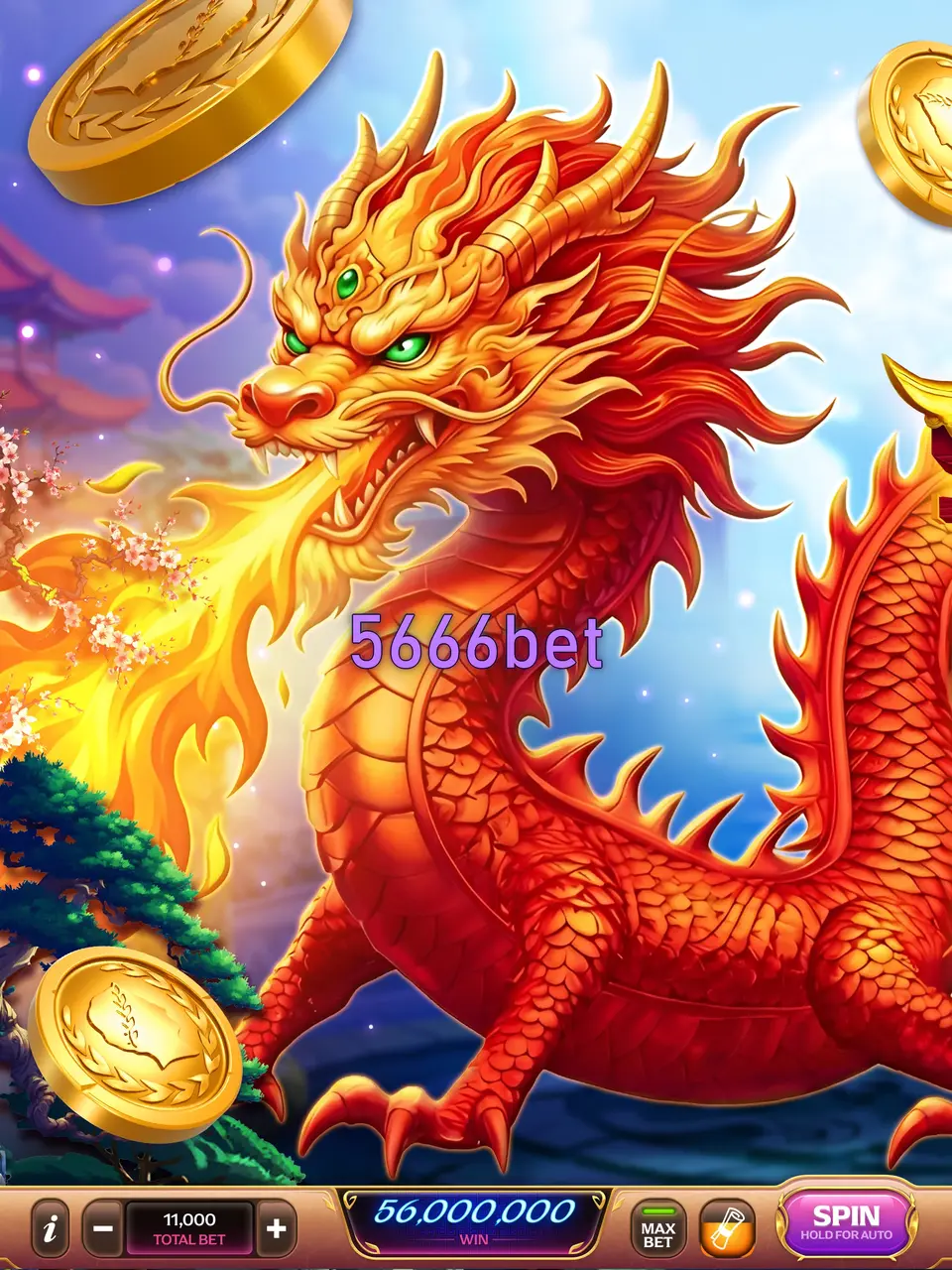 5666bet APK
